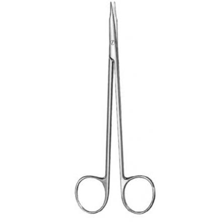 Dissecting Scissors