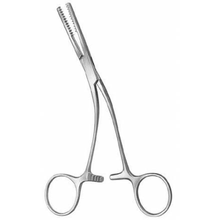 Bone Holding Forceps