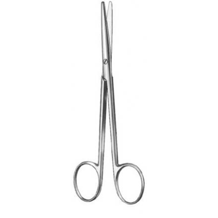 Delicate Dissecting Scissors