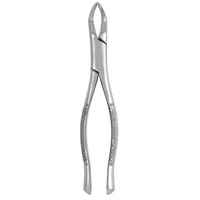 Extracting Forceps #286